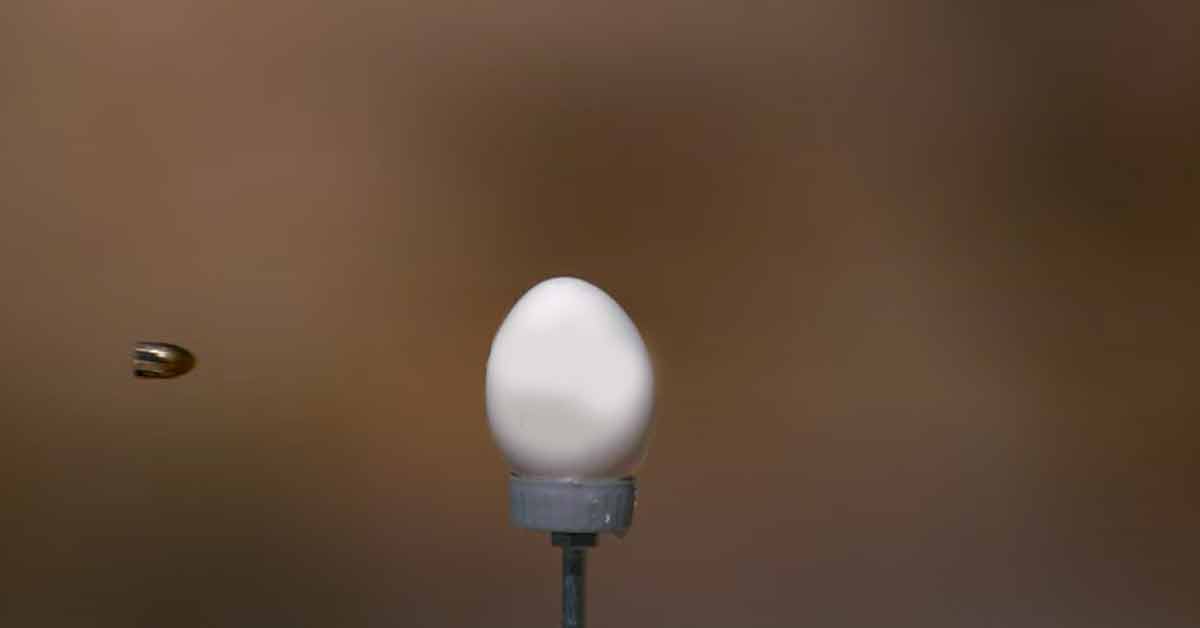 a bullet flying towards an egg