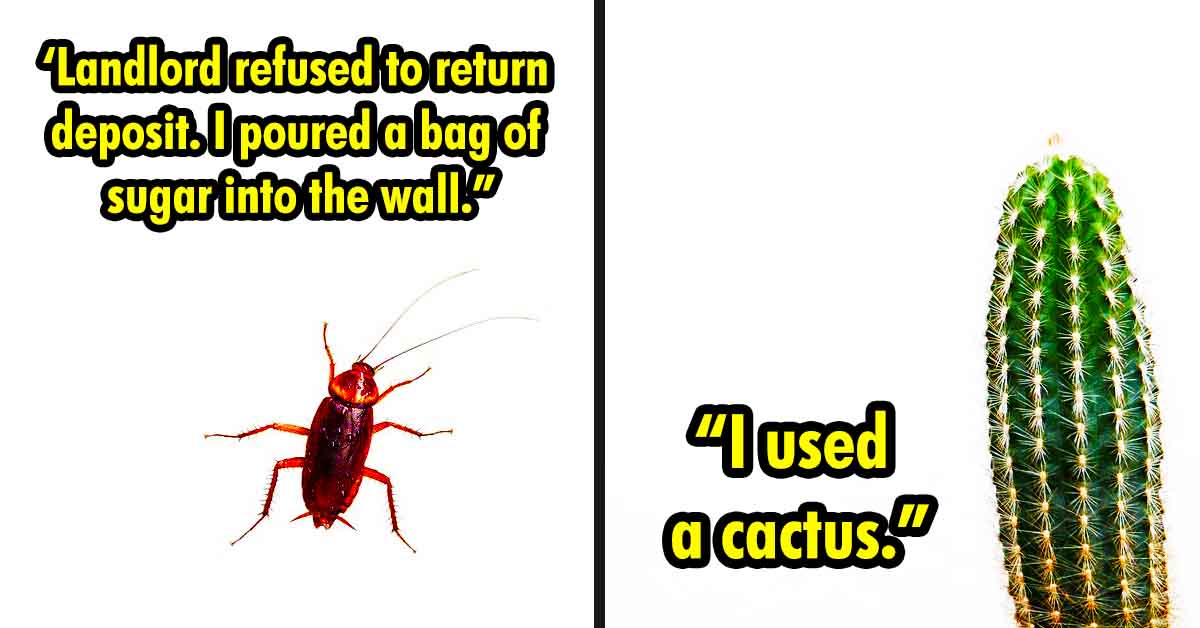 cockroach, cactus stories