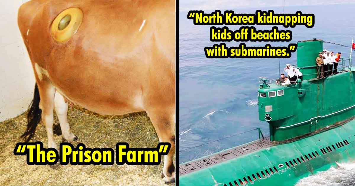 prison farm urban legend, north korea kidnapping kids