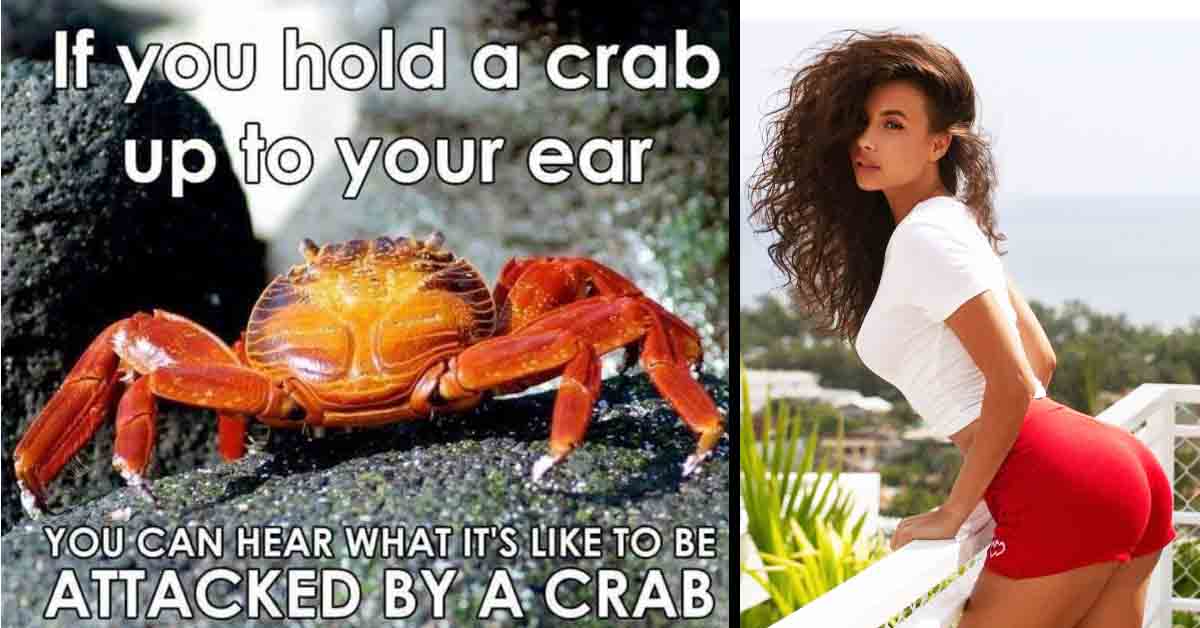 crab meme, hot chick