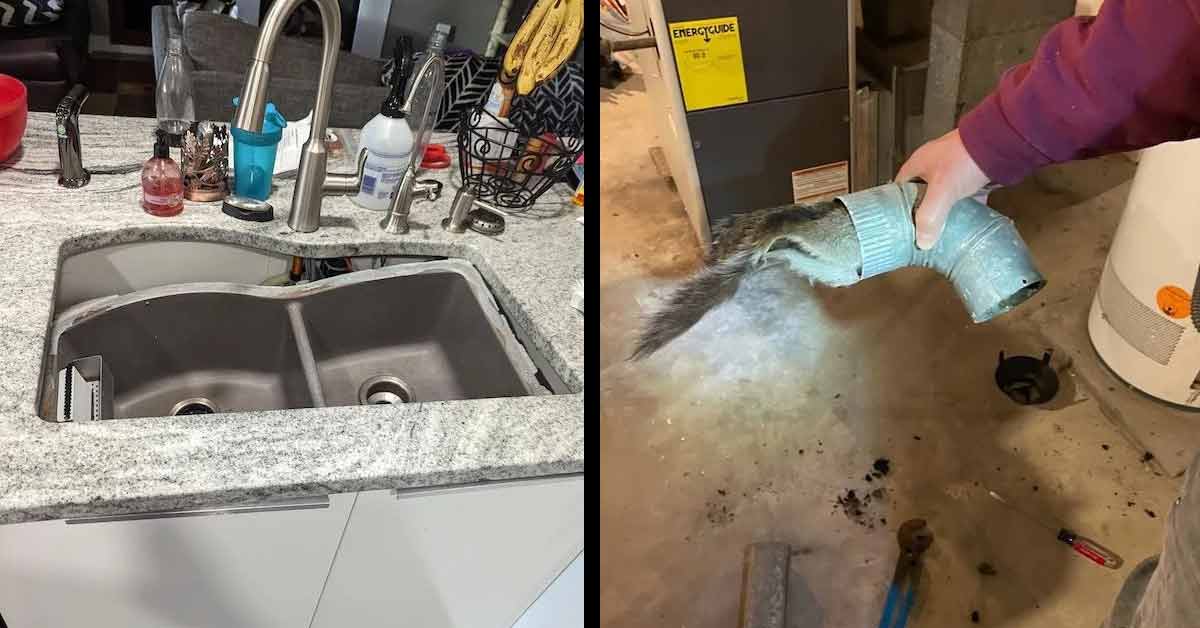 a sink that fell into the counter and dead animal stuck in vent