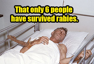 wtf facts -  only 6 people have survived rabies
