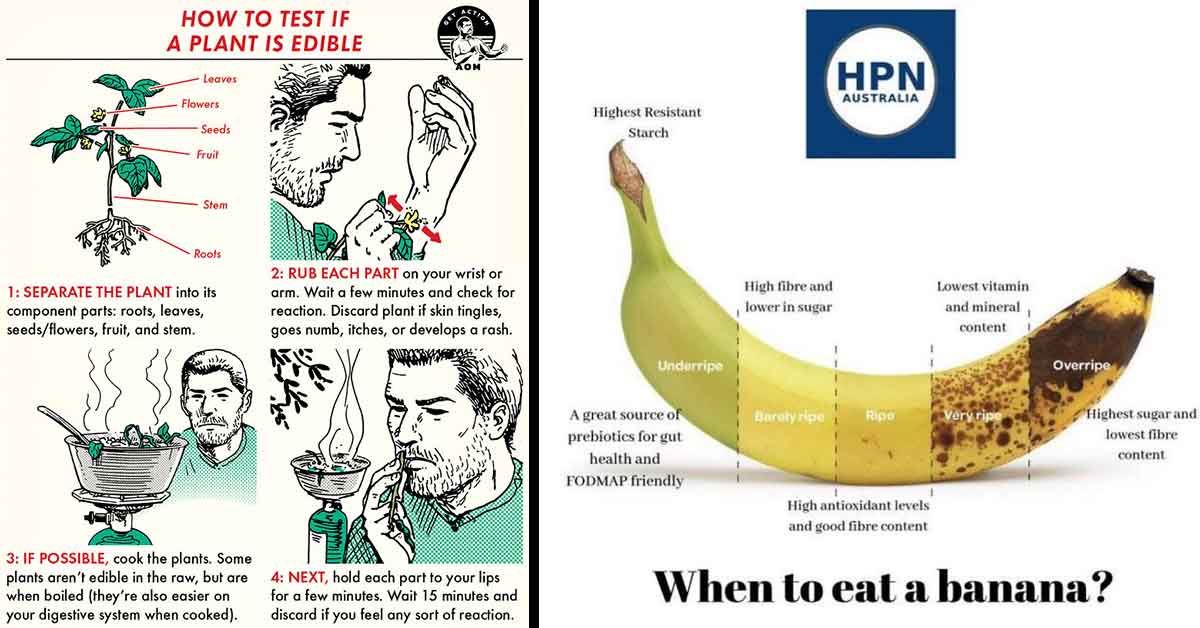 Charts about food