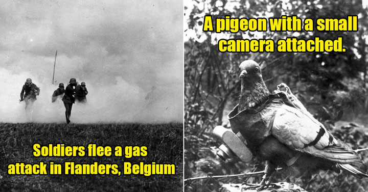 ww1 pics -  soldiers flee a gas attack - pigeon with a camera