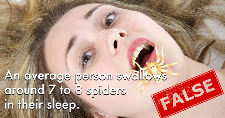 swallowing spiders fact