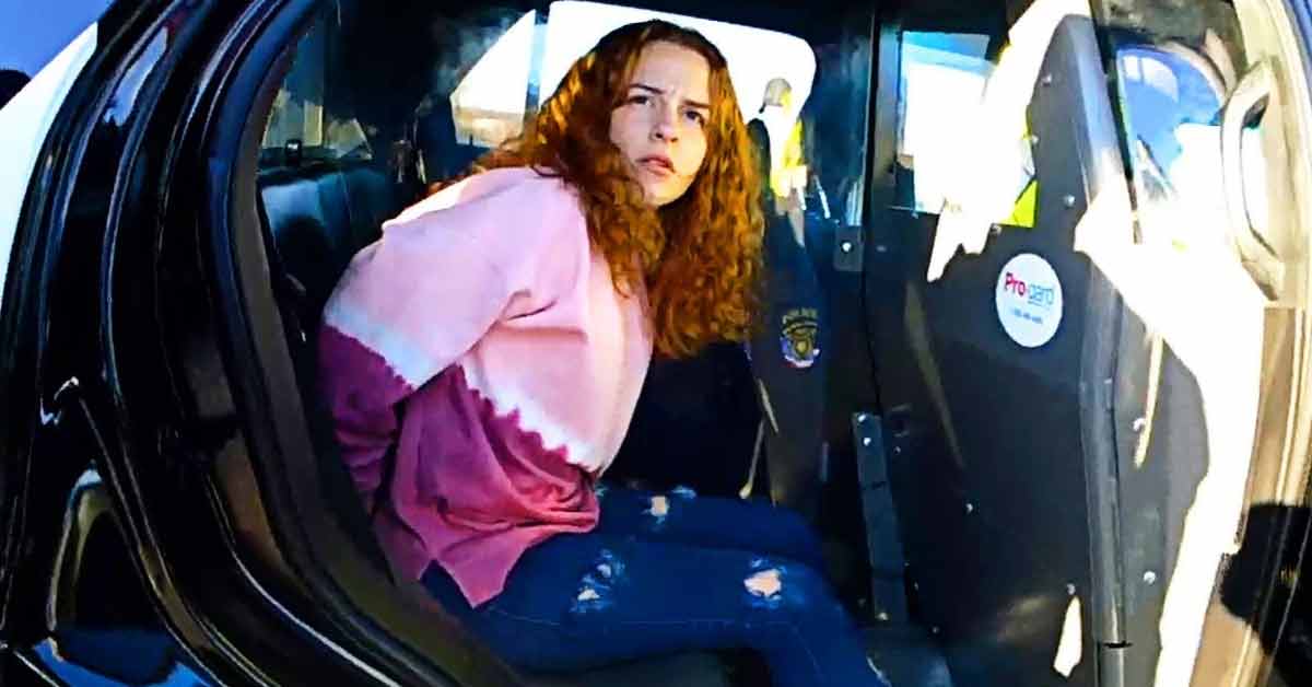 WTF Traffic Stop over Stolen Legos Leads to Discovery of a Bomb