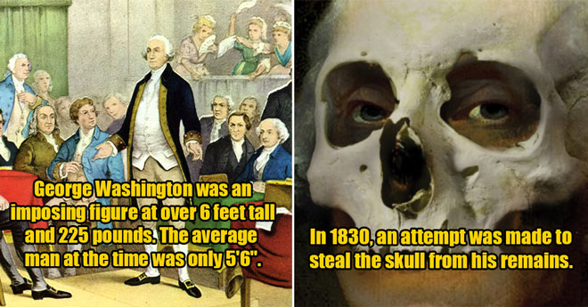 George Washington facts -  someone tired to steal his bones - he was very tall