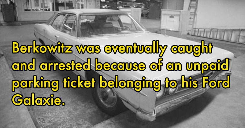 david berkowitz and car