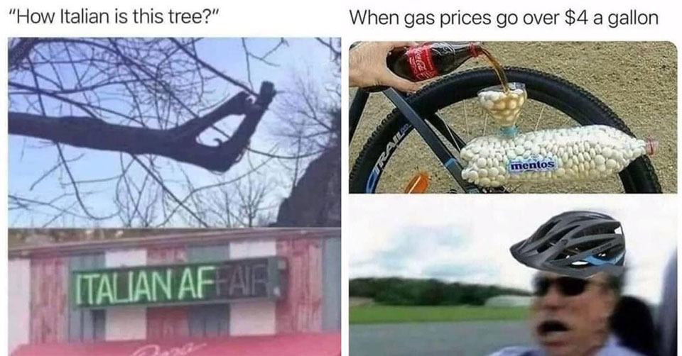 italian af tree -  when gas hits 4 dollars a gallon