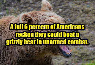 You won't believe these at first, but trust us, the math checks out. if you told me that 6% of American's firmly believe they could fight a bear in unarmed combat, I would say, "yeah that sounds about right." Well, turns out they do, of course! 