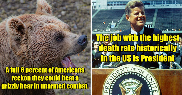 wtf stats and facts =. 6 percent of American's think they could fight a bear - The president is the most dangerous job historically in the US