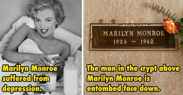 8 Fascinating Facts About the Marilyn Monroe Collection – Besame