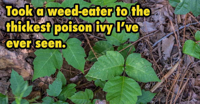 weed eating poison ivy