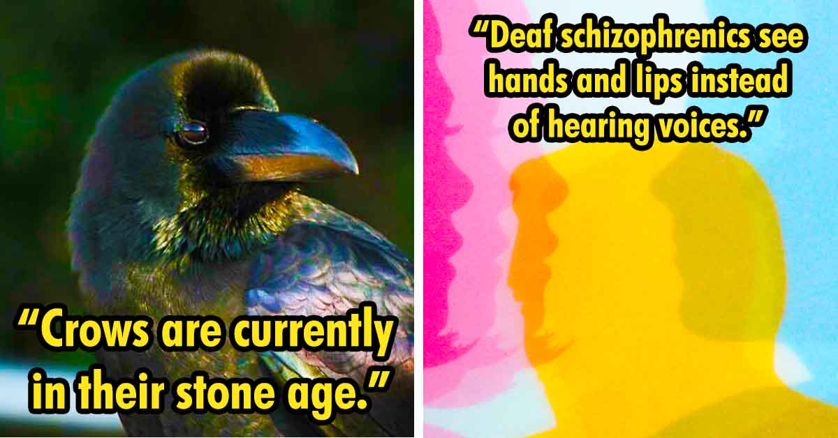 crow fact, deaf schizophrenic fact