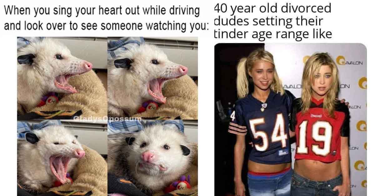 opossum meme, divorce meme
