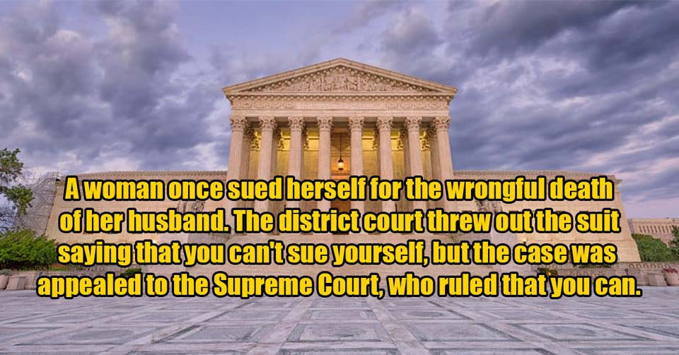 supreme court facts -  the woman who sued herself
