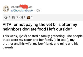 First of all, the dog survived. Let's get that out of the way.
<br>
<br>
This one comes to us from the ever popular subreddit, <strong><a href="https://www.reddit.com/r/AmItheAsshole/comments/q4qp5d/aita_for_not_paying_the_vet_bills_after_my/" target="_blank">Am I the A**hole</a></strong>. And right off the bat I can tell you with full confidence that the OP is not the a**hole.
<br>
<br>
If you are a dog/cat/pet owner of any kind. That pet is your responsibility. Hands-down, no questions asked. So when the OP's neighbor's dog accidentally got out, walked over to the OP's property and started eating covered food that was left out. That is not on the OP.
<br>
<br>
That's squarely on the <strong><a href="https://www.ebaumsworld.com/pictures/38-memes-only-dog-lovers-will-woof-at/85842761/" target="_blank">dog</a></strong> owner. Is it unfortunate that the dog happened to get into chocolate and grapes (two things very bad for dogs)? Absolutely. Is it the OP's fault? Absolutely not.
<br>
<br>
To the OP's credit, they offered to pay a quarter of the vet bills. Well that apparently wasn't good enough for the entitled dog owner...
