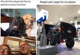 dank memes -  jeep getting gas, dogs taking pics