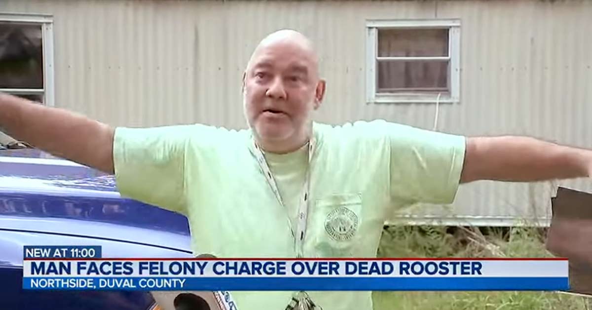 Florida man faces felony over dead rooster