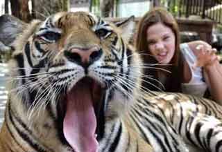 a woman laying with a tiger