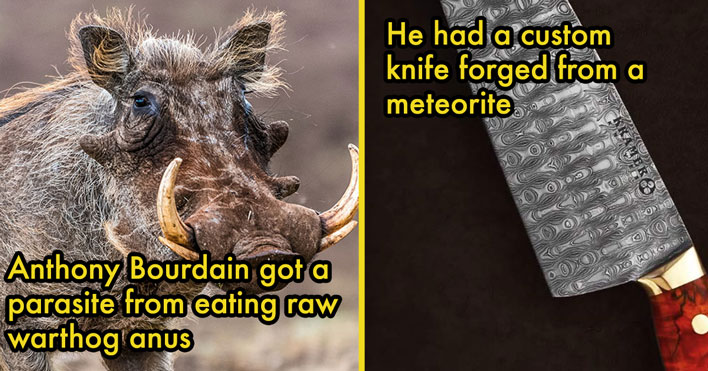 warthog and knife fact anthony bourdain