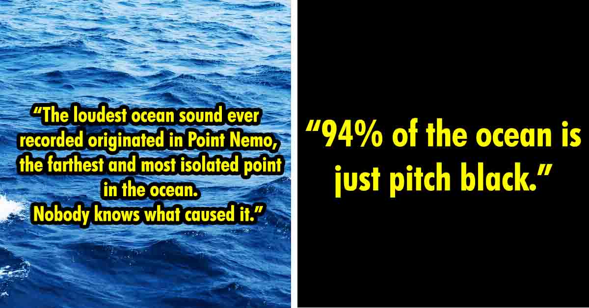 23 Fascinating, Weird Or Even Scary Facts About The Ocean People In This  Online Group Decided To Share