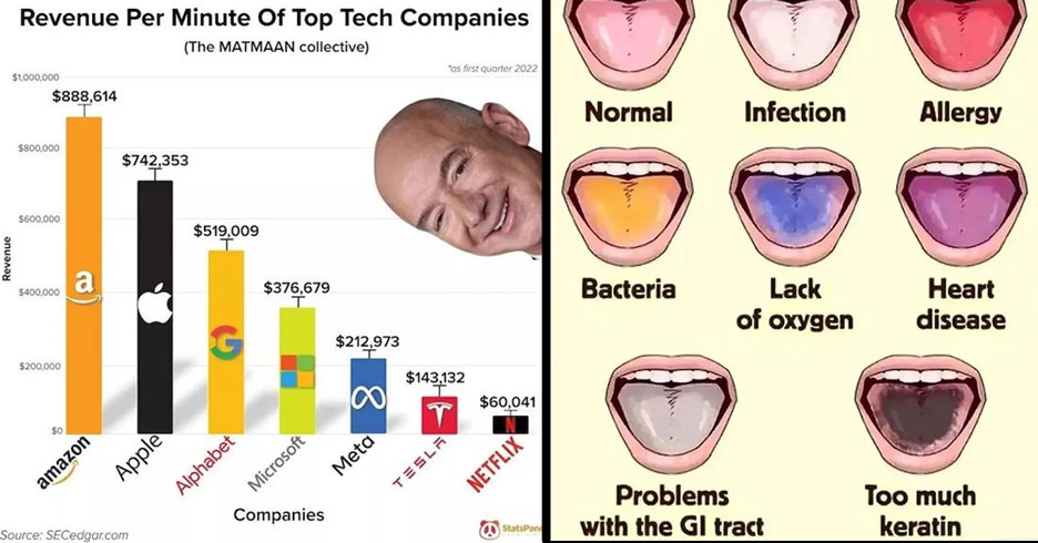 companies and tongue charts