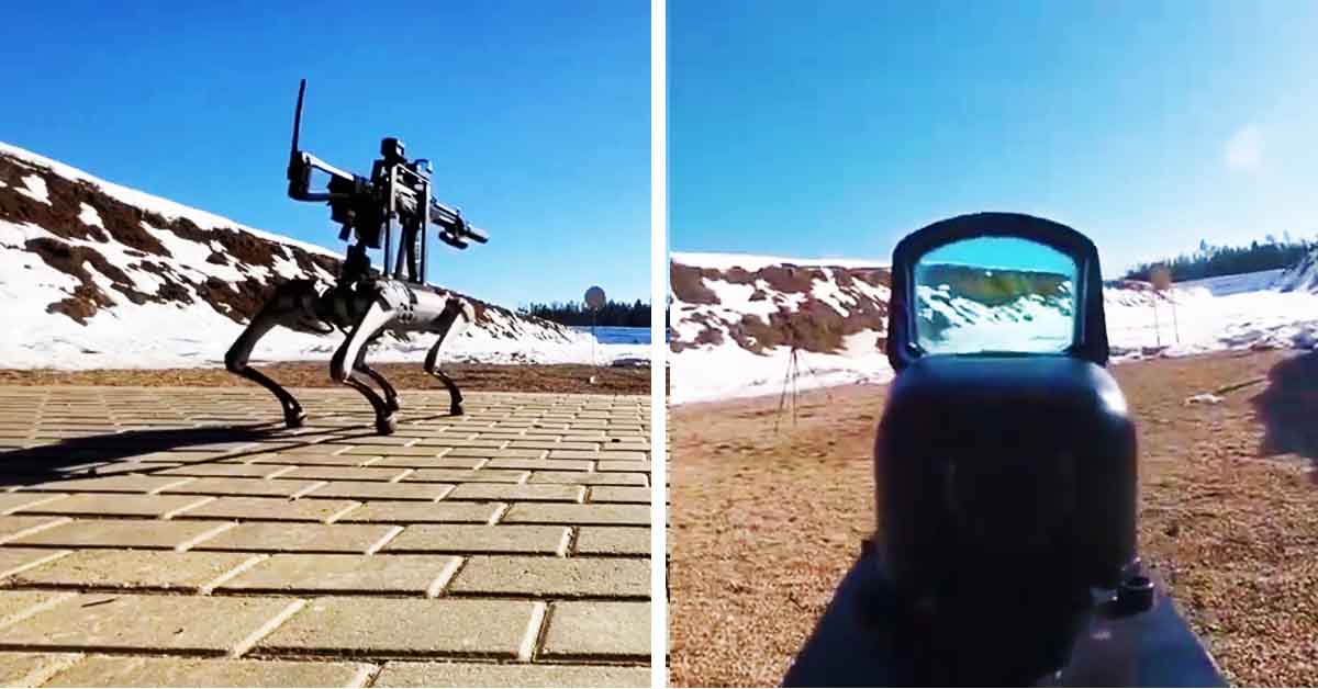 boston dynamics dog robot gun