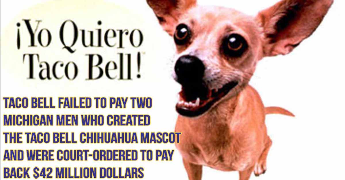 the taco bell dog and a fact