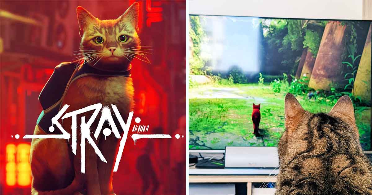 People's Cats are Freaking Out Over Playstation's New Adventure Game "Stray"