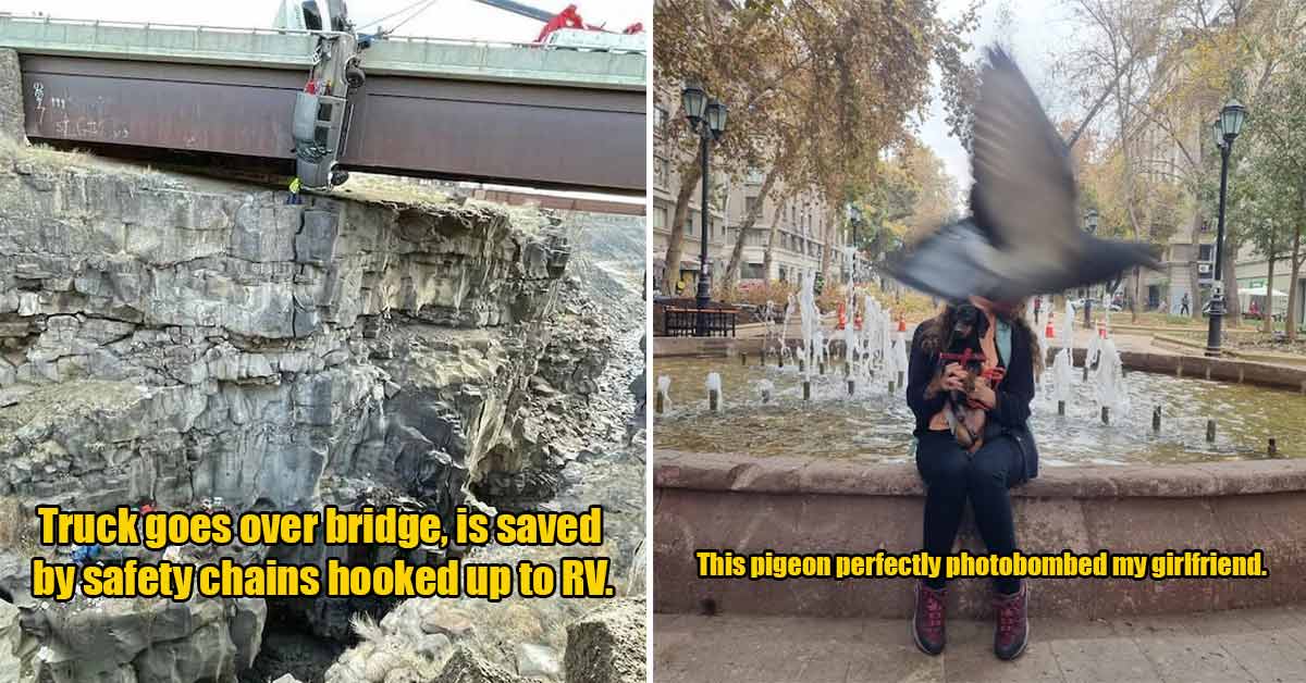 truck hanging off a bridge - woman photobombed by pigeon