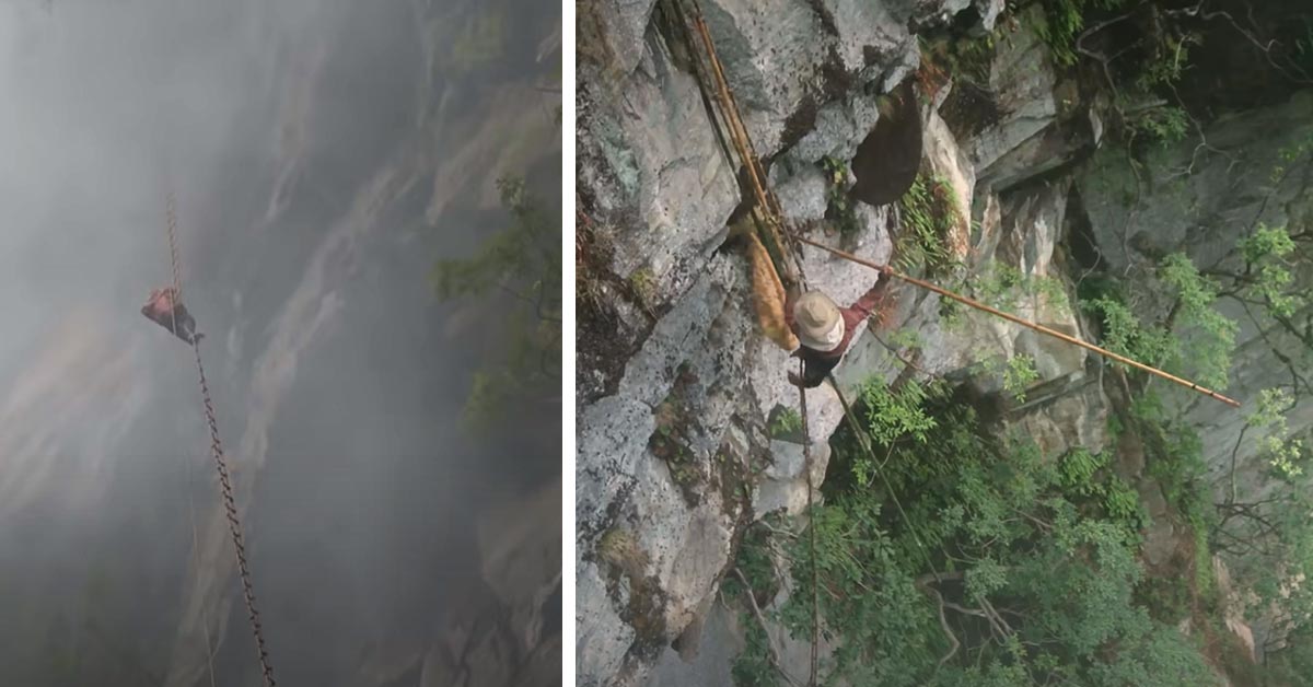 a man from nepal climbing a very sketchy bamboo ladder to get honey