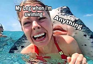 funny memes -  my leg when I'm swimming -  anything -  woman and sting ray