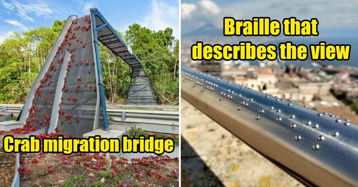 designs that are awesome - crab migration bridge - braille that describes a view