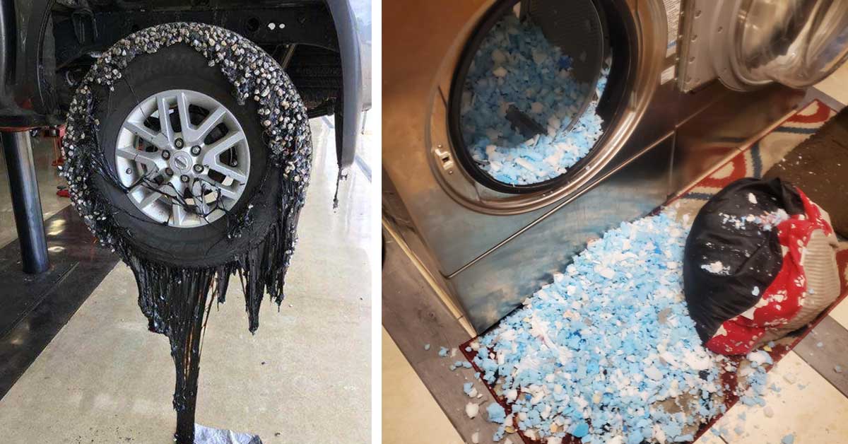 a tire melting and dog bed that exploded in dryer