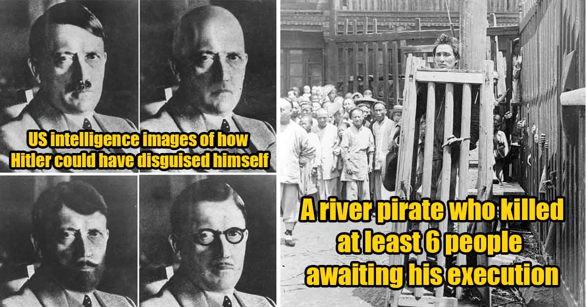 intelligence photos of how Hitler could have disguised himself during world war 2 - pirate in a crate