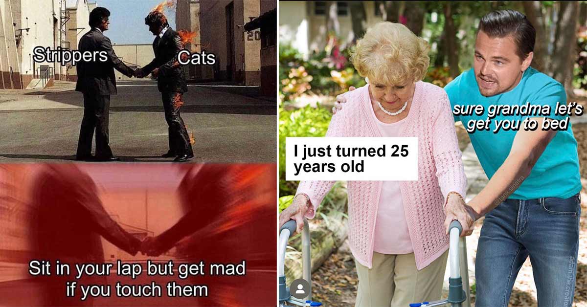 leo meme - taking granny into the group home - cats vs strippers