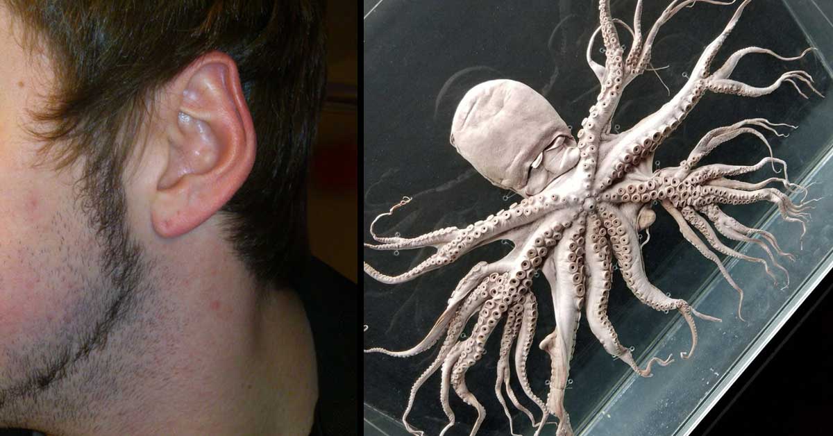 a guy with an elf ear and an octopus with mutated tentacles