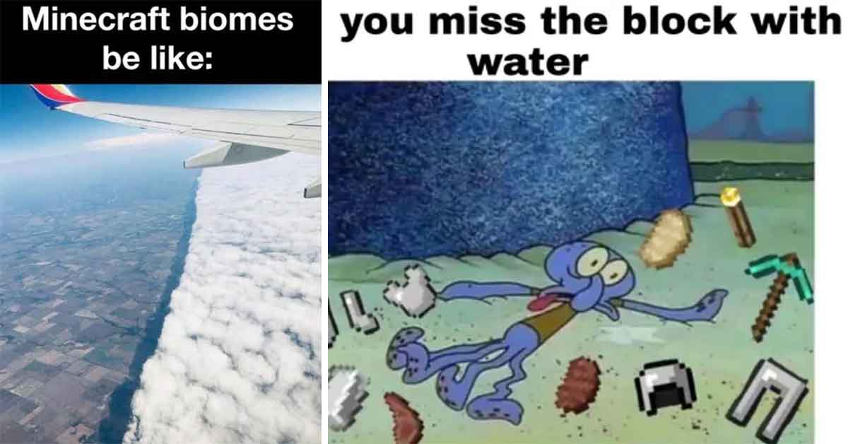 Minecraft memes, water block, biomes