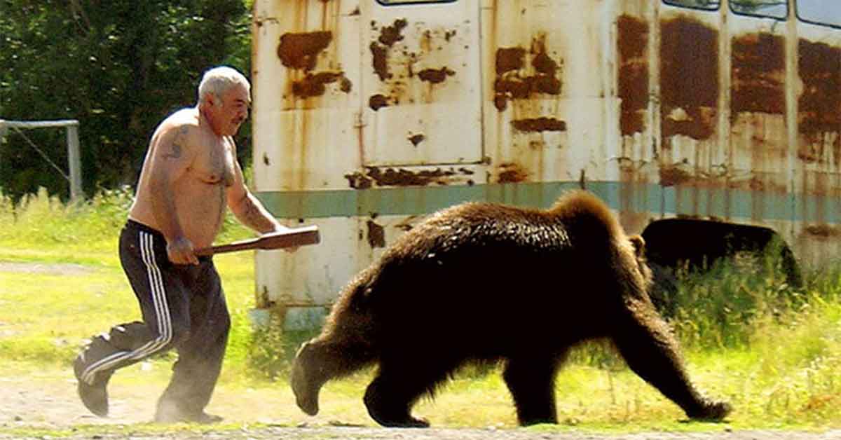 human fighting bear