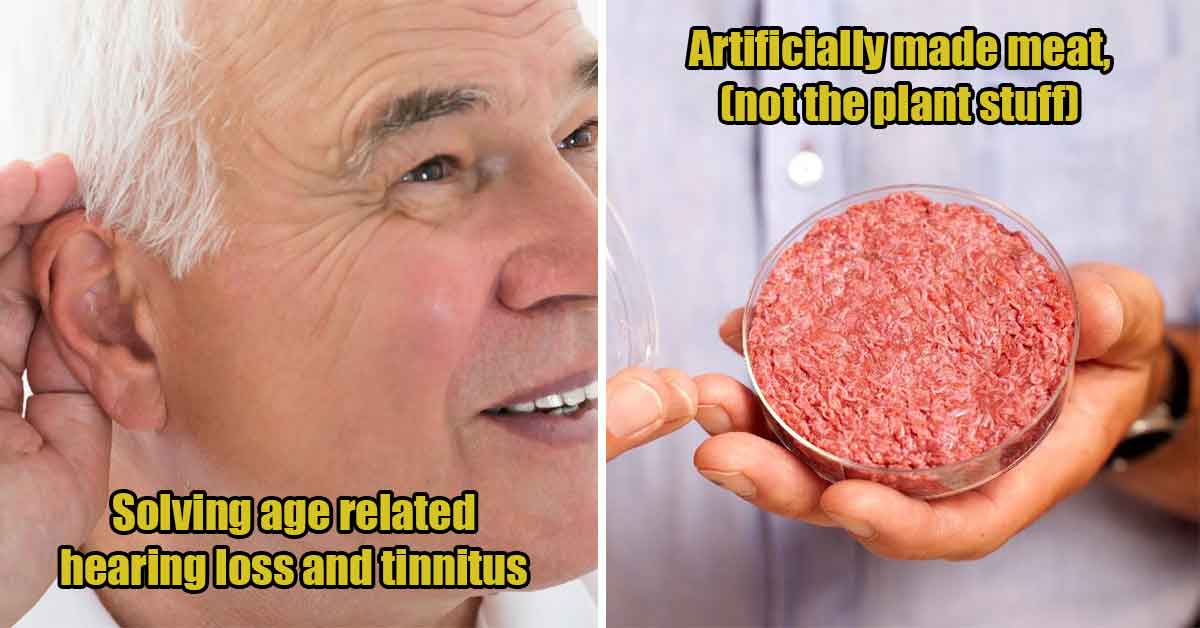 Inventions we'd like to see - tinnitus cure, artificial meat