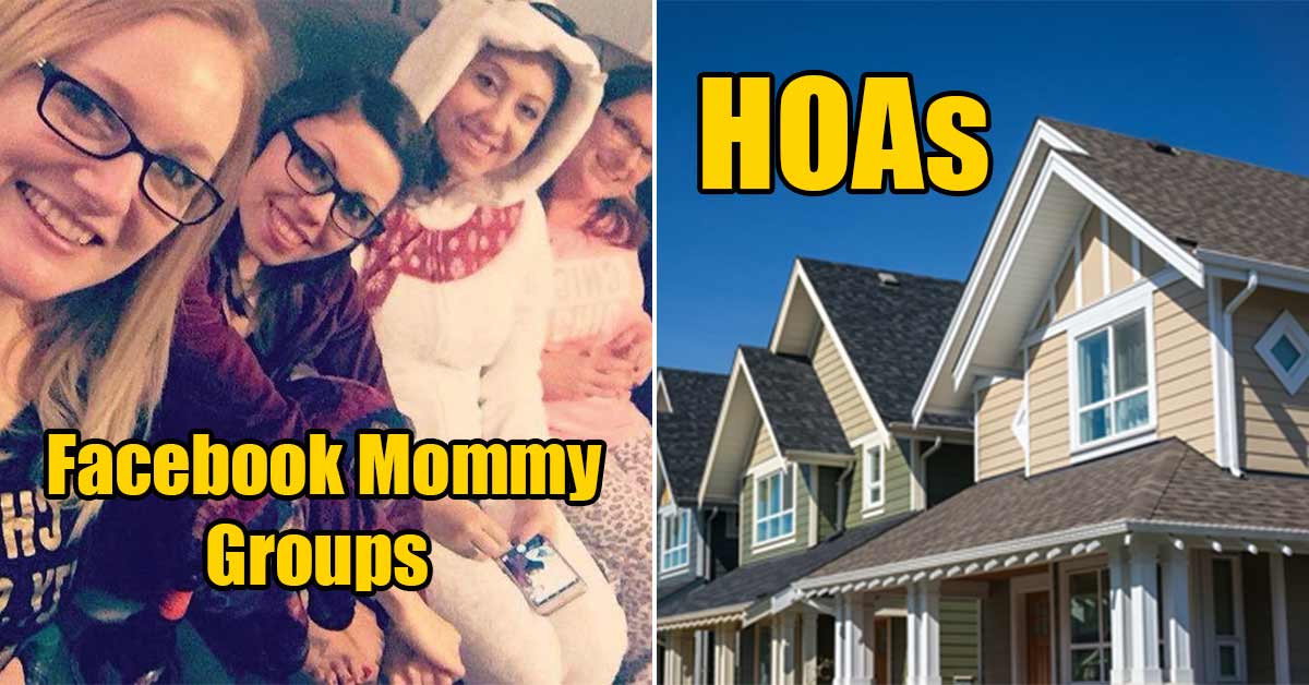 cult like groups - facebook mommy groups - HOAs