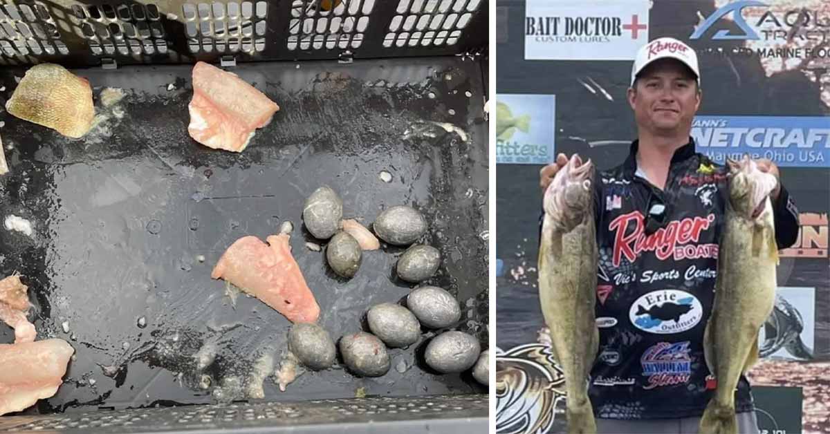 Fishing Tournament Ends In Chaos As Cheaters are Caught Weighting