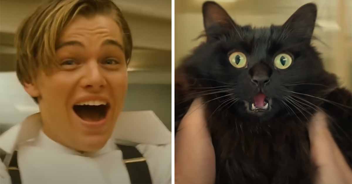 Someone Edited a Cat into ‘Titanic' Video eBaum's World