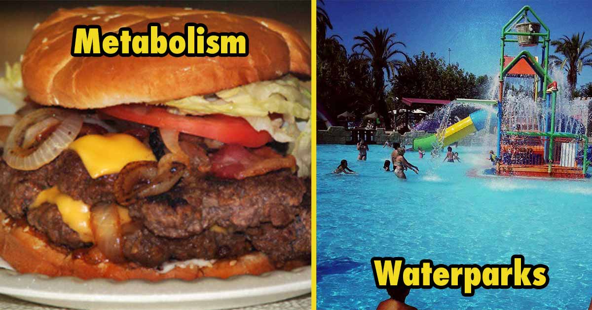 metabolism and waterparks suck as an adult