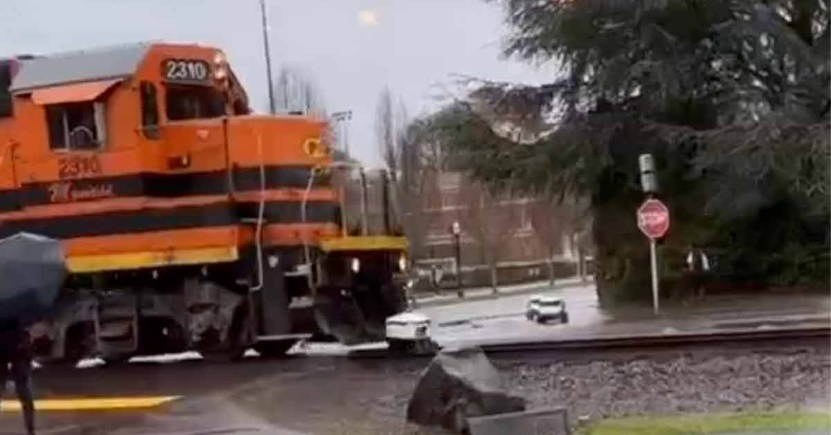 train hits food delivery robot