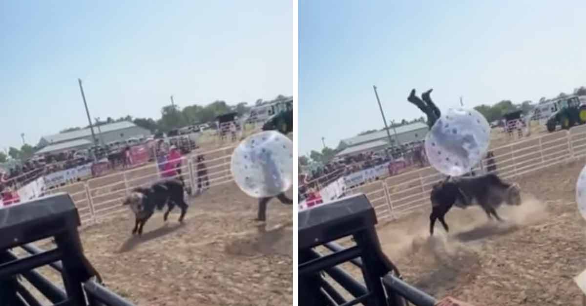 bubble bull soccer is the world's extreme sport