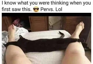 Put the day on pause and open up an incognito tab and check out this batch of funny pics, spicy memes, and juvenile humor sure to send your mind right into the gutter.
<br/><br/>
Check out more spicy memes and lowbrow humor in previous <a href="https://www.ebaumsworld.com/pictures/42-filthy-memes-for-the-lonely-hearted-viewers-with-a-dirty-mind/87266287/"><b><u>Thirsty Thursday Memes</u></b></a>.