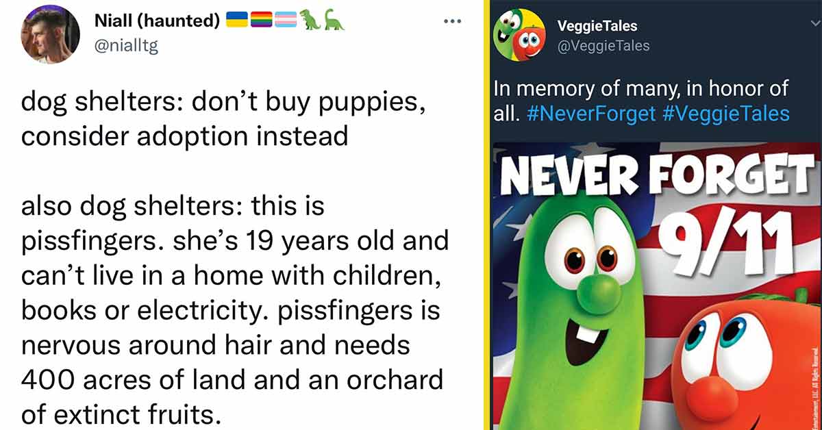 dog shelter and 9/11 veggie tales tweet