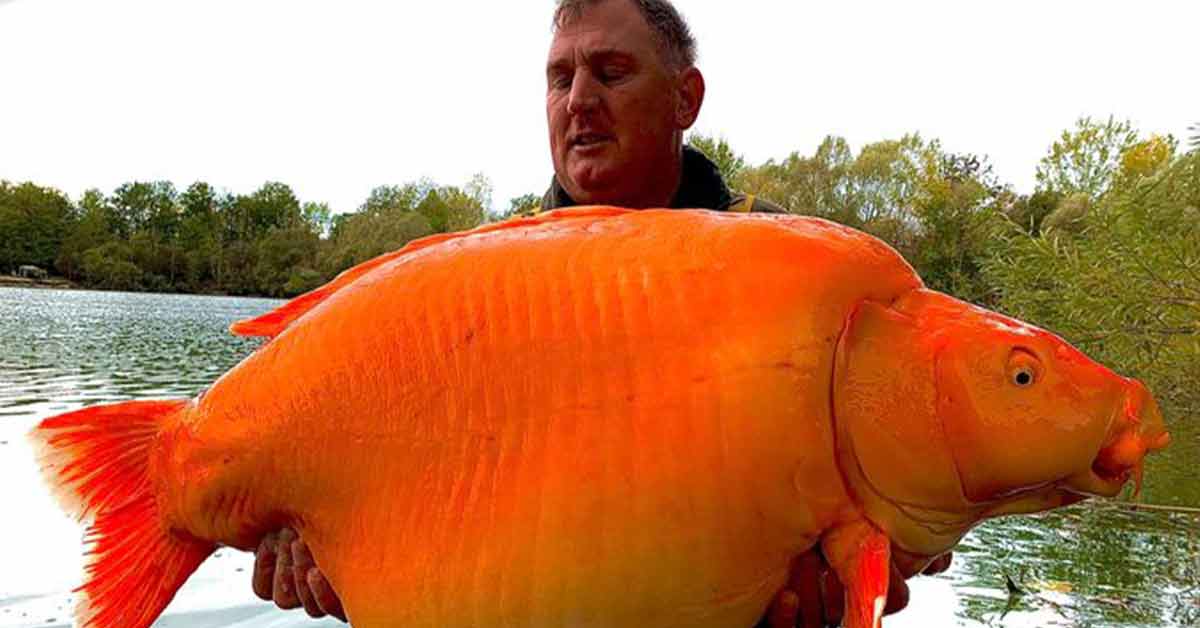 fisherman holding a 67 pound fish